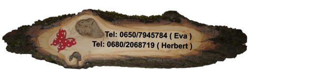 Tel: 0650/7945784 ( Eva ) Tel: 0680/2068719 ( Herbert )